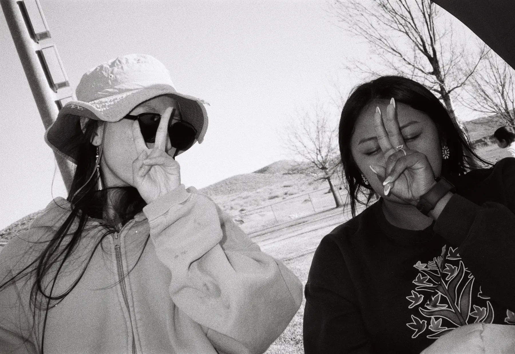 Friends photograph