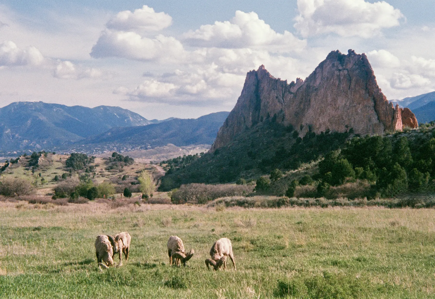 Places photograph